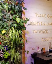 Néo Coaching - Hypnothérapie image 2