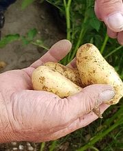 LANDOR fenaco Genossenschaft Bild 2