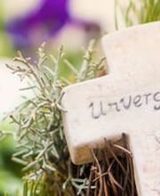 Bestattungshaus Schönfeld GmbH Bild 7