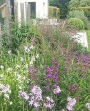 Tilly Paysage et Pépinière image 4