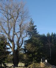 Chacornac Paysagiste image 2