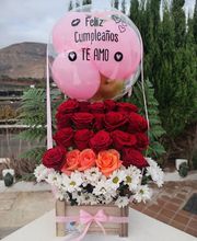 Detareglosjs imagen 3