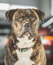 Autohaus Henke GmbH Bild 14