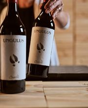 Castello di Cantone - Vecchia Masseria Bild 4