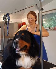 OCEAN TOILETTAGE image 7