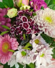 Conter Fleurette image 3