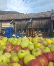 Nectardéchois image 10