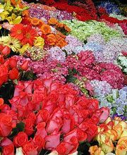 Díaz Floristas imagen 5