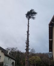 Entreprise Lecoq image 7