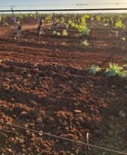 Bodega C. Mingo imagen 4