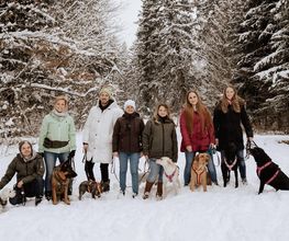 MEHR Hundeschule Bild 7
