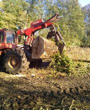 Mortelecque Ludovik image 8