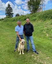 Amis Dogs 76 image 2