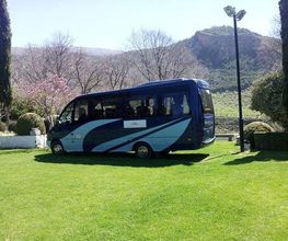 autocares-falcon-leon-minibus-04.jpg