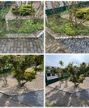 Neugestaltung Vorgarten