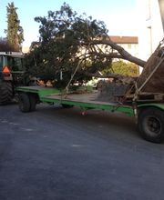 Knür Garten- und Tiefbau GmbH Bild 13