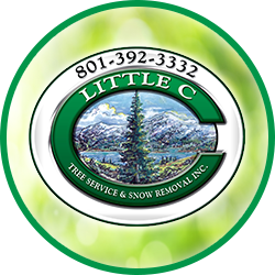 Little C Tree Service