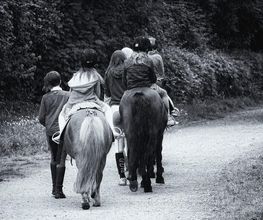 Les Ecuries D'aurabelle image 4