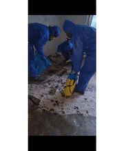 Aktiv Sanierung GbR Bild 1