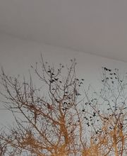 mon sur mesure image 3