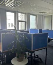 Ein Büro mit mehreren Arbeitsplätzen, die durch blaue Trennwände unterteilt sind. Jeder Arbeitsplatz hat einen Bürostuhl. Vorne steht eine grüne Pflanze auf einem kleinen Tisch. Große Fenster lassen viel Tageslicht hinein.