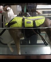 West Ridge Animal Hospital image 10