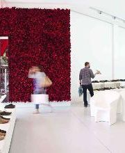 Camper Los Angeles image 9