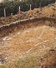 Auf Im und ums Haus Christian Haussener Bild 11