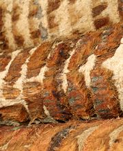 Scierie Morel image 1