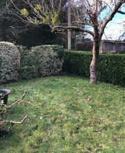 SEB29 PAYSAGE image 1