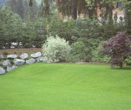 Bangerter Gartenbau AG Bild 5