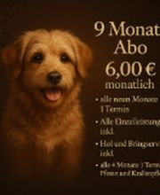 Screenshot 2025-10-23 172850.png