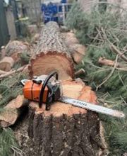 Florian Théry Élagage image 1