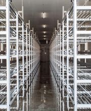 Gallery Professionale