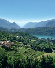 Tamborini Carlo SA Bild 9