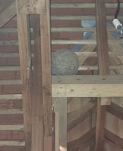 CLG Nuisibles image 8