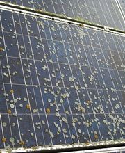 Photovoltaik & Gebäudereinigung Frank Galley Bild 13