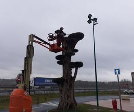 EURL Berteau image 13