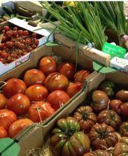 Espace Toubio image 3