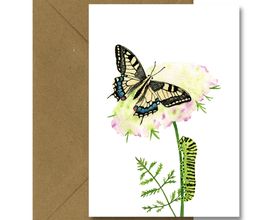 Bioartsense Aquarelle Bild 4