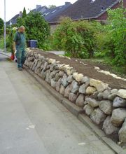 Baum und Garten Jörg Naggatz Bild 5