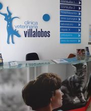 CLINICA VETERINARIA VILLALOBOS imagen 1