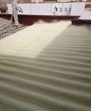 Proyectados MiRic Toledo imagen 6