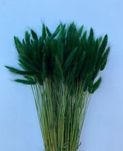 NATURA - FIORI SECCHI PAPA immagine 9