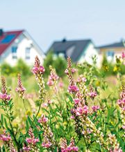 Regiotherm AG Bild 1