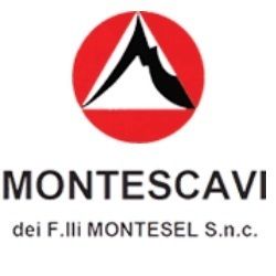 Montescavi logo