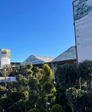 Villaverde Dijon image 3