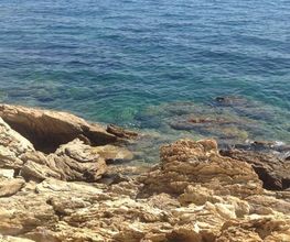 Lavandou Plongée image 2