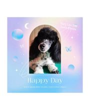 Elevage Des Jours Étoilés image 19