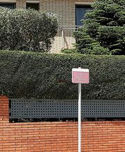 228788493-1-iLKGe2sXsm1626008570110.jpeg